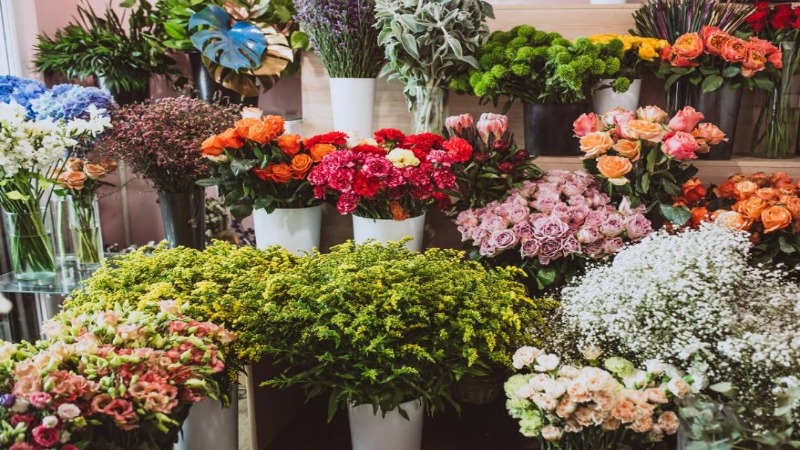 Las 5 mejores floristerías de Sevilla 4 floristeria-antonio