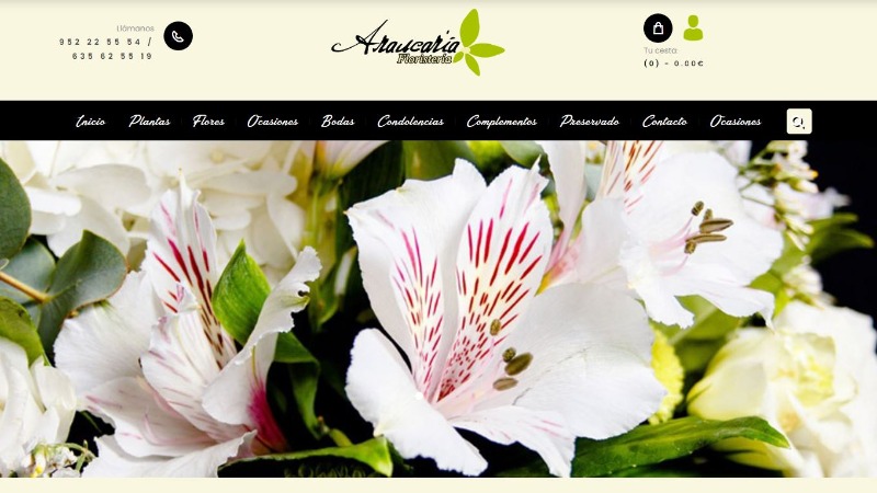 Las 5 mejores floristerías de Málaga: Floristerías cerca de ti 2 floristeria-araucaria