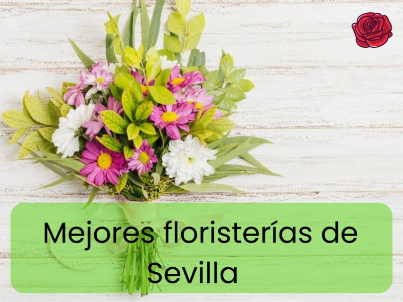 mejores-floristerias-de-sevilla