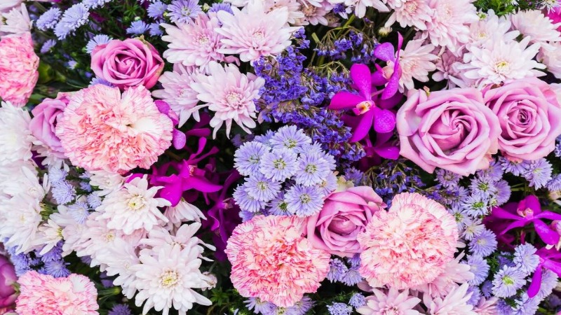 mejores-floristerias