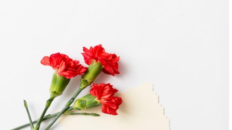 Las 10 flores más bonitas para regalar 4 claveles