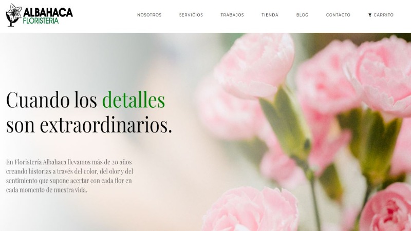 Las mejores floristerías en Huesca 2 floristeria-albahaca