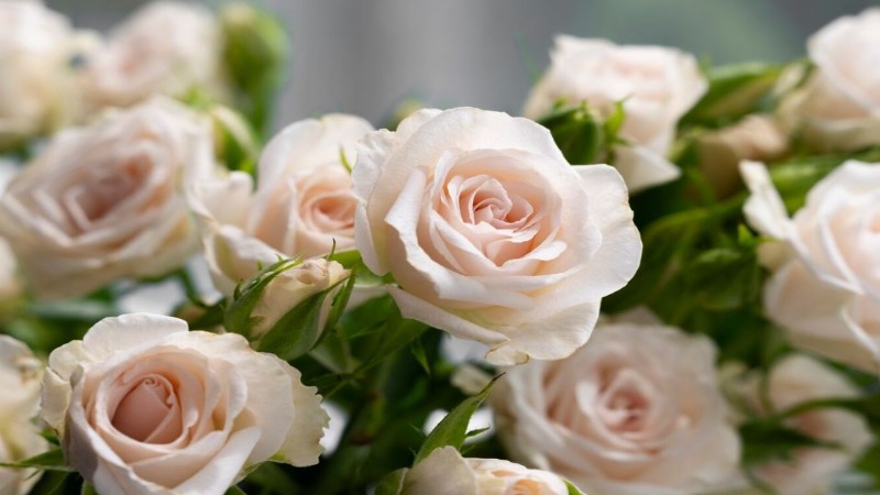 floristeria-flowers