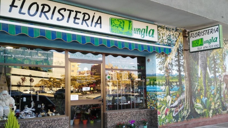 Las mejores floristerías en Huesca 5 floristeria-jungla