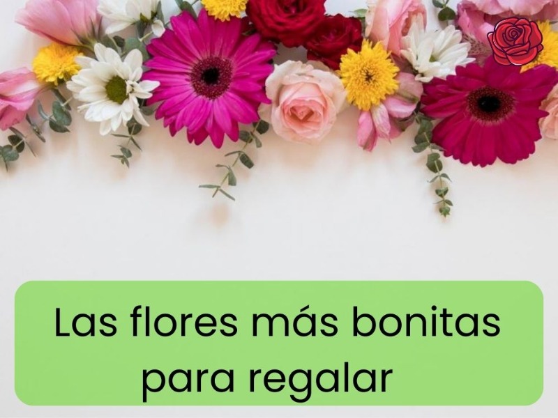 las-flores-mas-bonitas-para-regalar