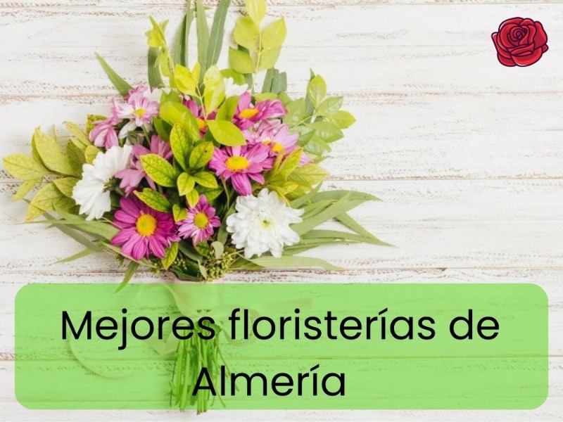 mejores-floristerias-de-almeria