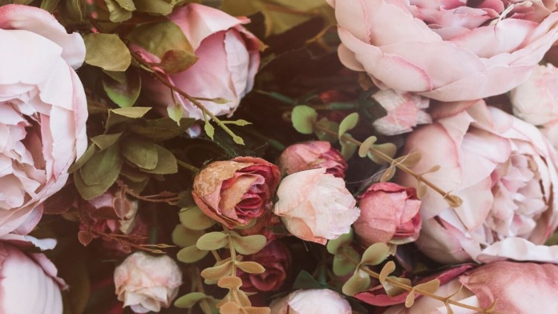 Las 10 flores más bonitas para regalar 3 peonias