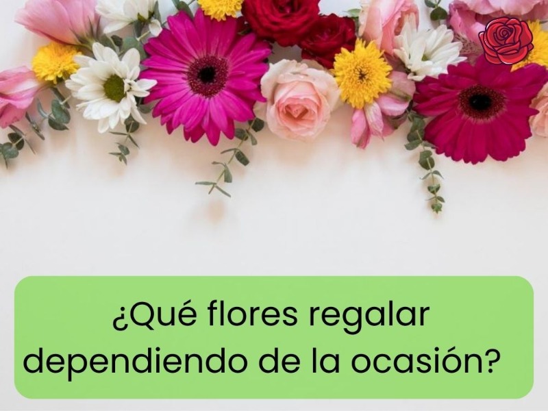 que-flores-regalar-dependiendo-de-la-ocasión