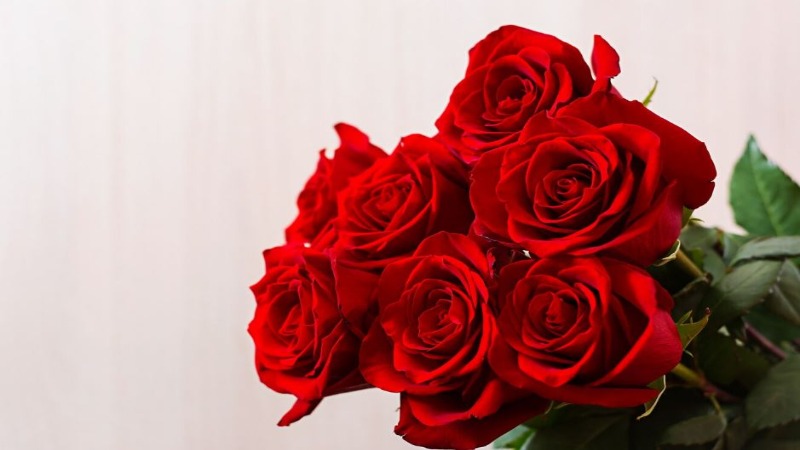 Las 10 flores más bonitas para regalar 2 rosas