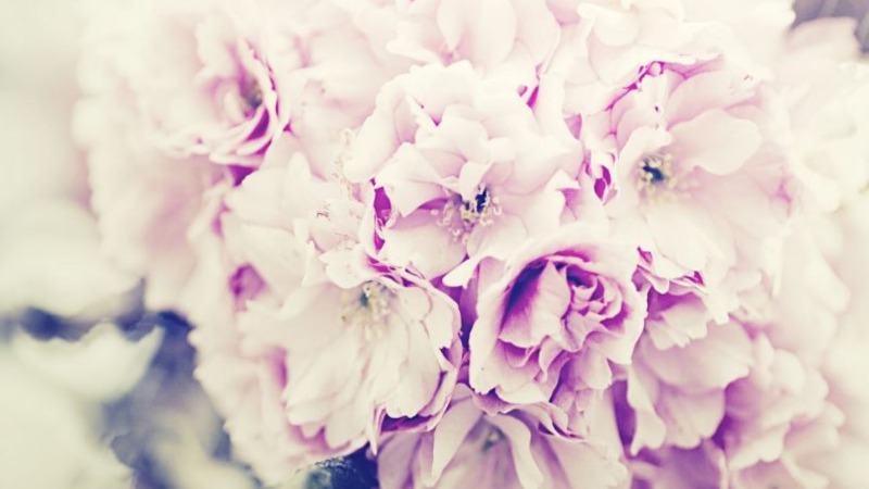 Las mejores floristerías en Huesca 4 uson-floristas