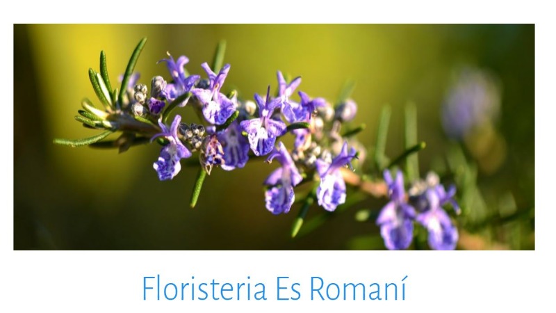 Mejores floristerías de Ibiza 4 floristeria-es-romani