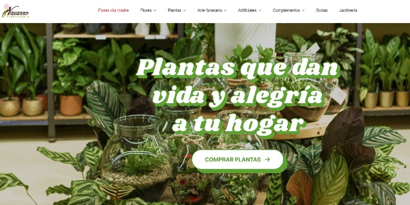 flores-navarro-barcelona