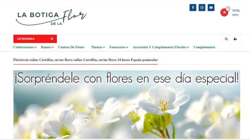 Mejores floristerías en Castellón 5 floristeria-la-botiga-de-la-flor