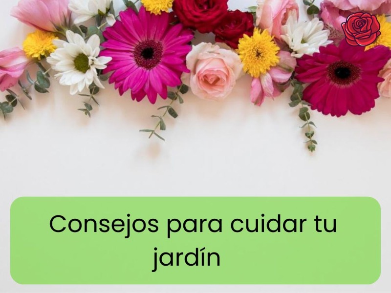 consejos-para-cuidar-tu-jardín