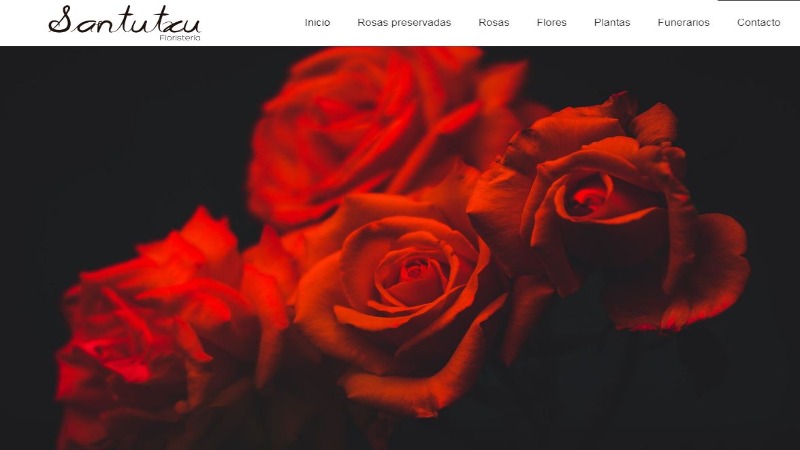 Mejores Floristerías en Bilbao 4 floristeria-santutxu